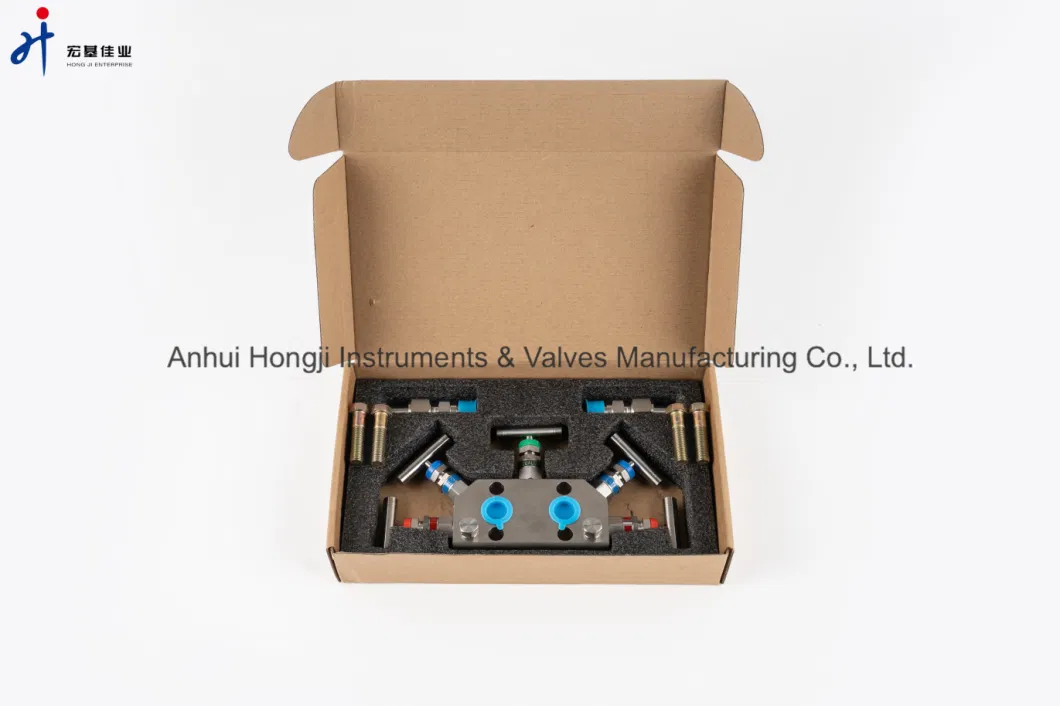 Hongji SS316 Stainless Steel Fanshaped 5-Valve Manifolds 6000psi Coplanar Valve Manifolds